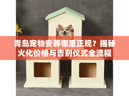 青岛宠物安葬哪里正规？揭秘火化价格与告别仪式全流程