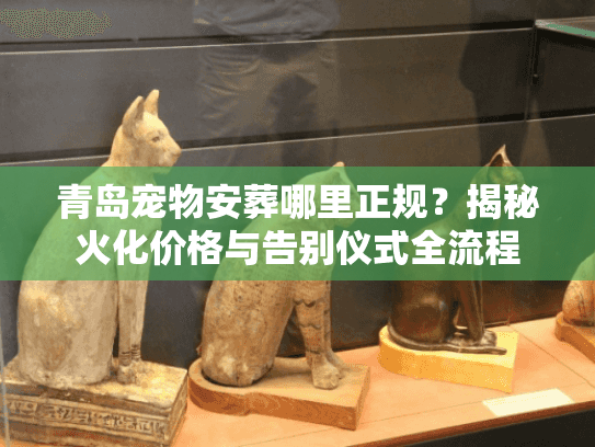 青岛宠物安葬哪里正规？揭秘火化价格与告别仪式全流程