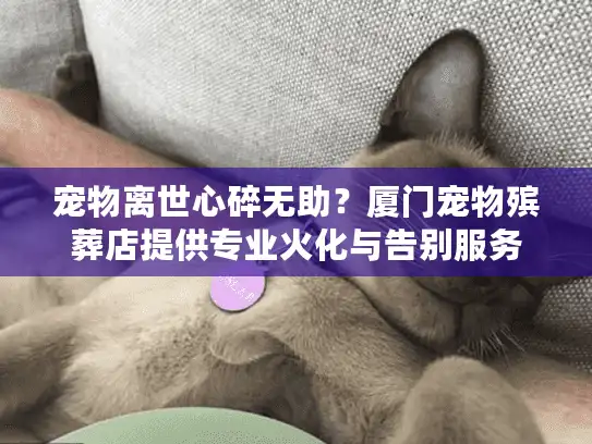 宠物离世心碎无助？厦门宠物殡葬店提供专业火化与告别服务