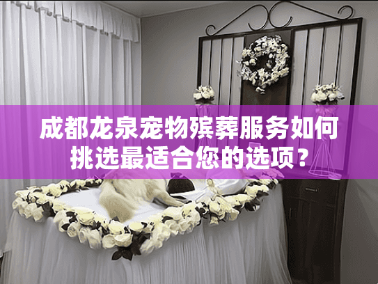 成都龙泉宠物殡葬服务如何挑选最适合您的选项？