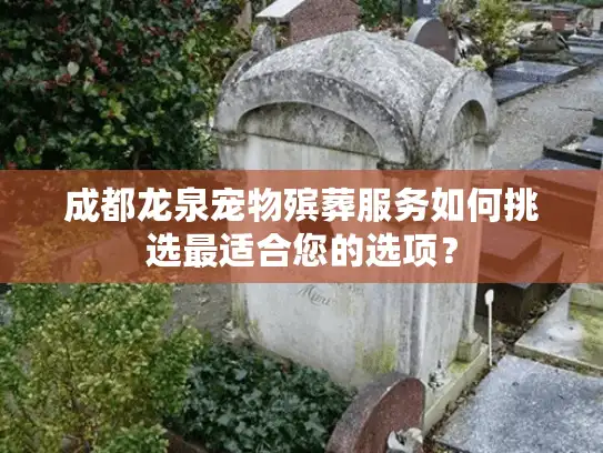 成都龙泉宠物殡葬服务如何挑选最适合您的选项？