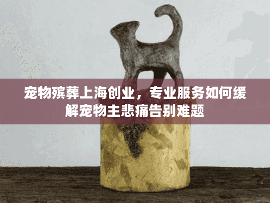 宠物殡葬上海创业，专业服务如何缓解宠物主悲痛告别难题