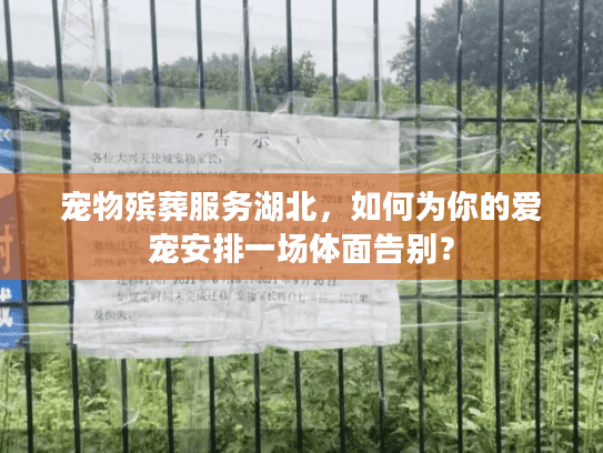 宠物殡葬服务湖北，如何为你的爱宠安排一场体面告别？