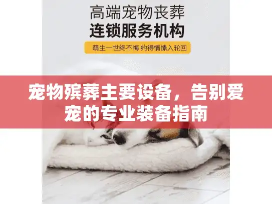 宠物殡葬主要设备，告别爱宠的专业装备指南