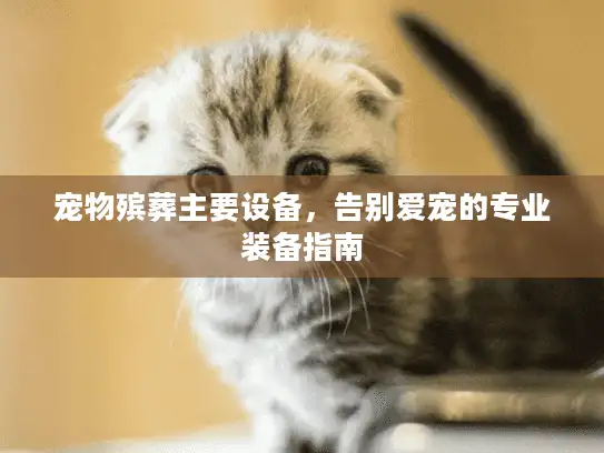 宠物殡葬主要设备，告别爱宠的专业装备指南