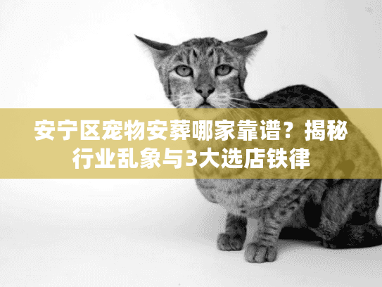 安宁区宠物安葬哪家靠谱？揭秘行业乱象与3大选店铁律