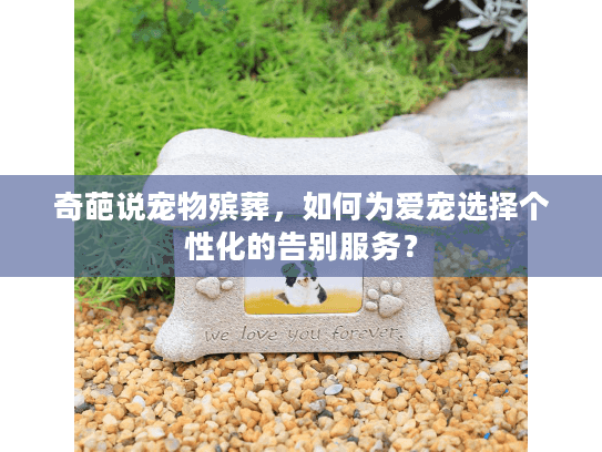奇葩说宠物殡葬，如何为爱宠选择个性化的告别服务？