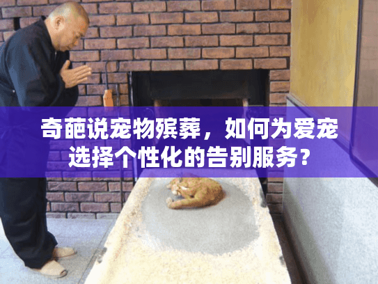 奇葩说宠物殡葬，如何为爱宠选择个性化的告别服务？