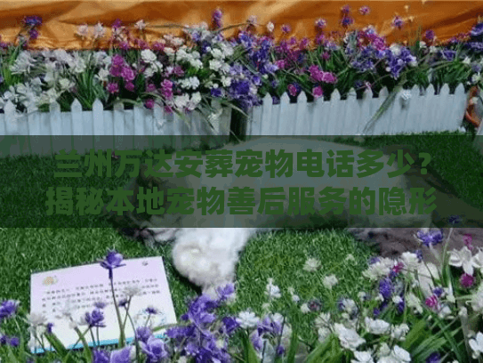 兰州万达安葬宠物电话多少？揭秘本地宠物善后服务的隐形门道