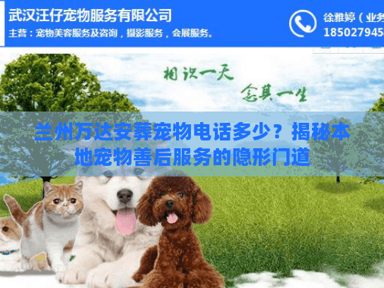 兰州万达安葬宠物电话多少？揭秘本地宠物善后服务的隐形门道