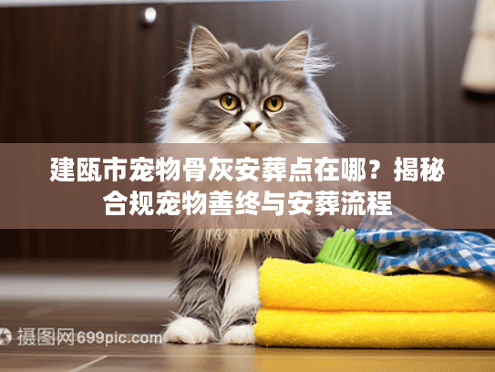 建瓯市宠物骨灰安葬点在哪？揭秘合规宠物善终与安葬流程
