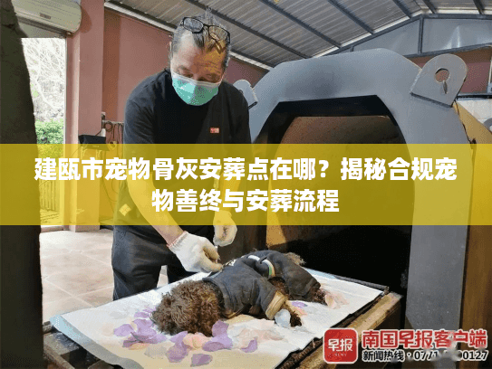 建瓯市宠物骨灰安葬点在哪？揭秘合规宠物善终与安葬流程