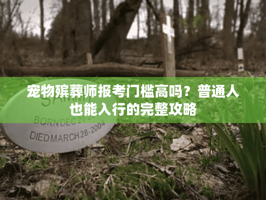 宠物殡葬师报考门槛高吗？普通人也能入行的完整攻略