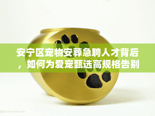 安宁区宠物安葬急聘人才背后，如何为爱宠甄选高规格告别团队？