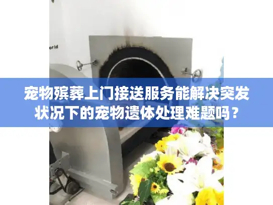 宠物殡葬上门接送服务能解决突发状况下的宠物遗体处理难题吗？