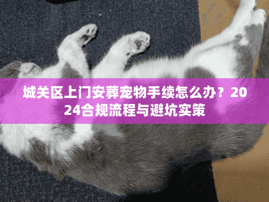 城关区上门安葬宠物手续怎么办？2024合规流程与避坑实策