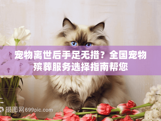 宠物离世后手足无措？全国宠物殡葬服务选择指南帮您