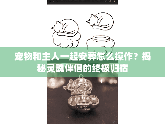 宠物和主人一起安葬怎么操作?揭秘灵魂伴侣的终极归宿 宠物和主人一起安葬怎么操作?揭秘灵魂伴侣的终极归宿