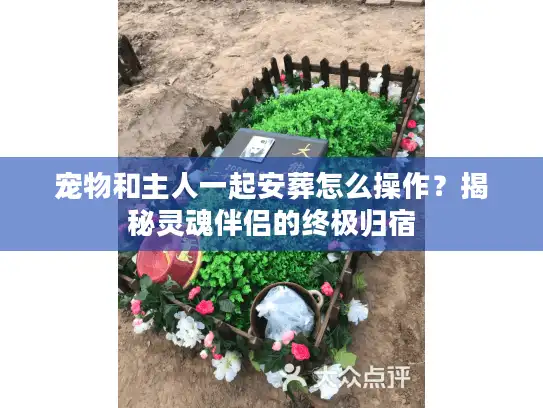 宠物和主人一起安葬怎么操作?揭秘灵魂伴侣的终极归宿 宠物和主人一起安葬怎么操作?揭秘灵魂伴侣的终极归宿