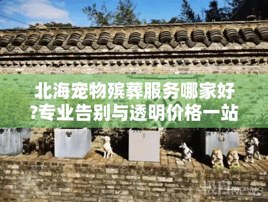 北海宠物殡葬服务哪家好?专业告别与透明价格一站式解决 北海宠物殡葬服务哪家好?专业告别与透明价格一站式解决