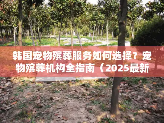 韩国宠物殡葬服务如何选择？宠物殡葬机构全指南（2025最新）