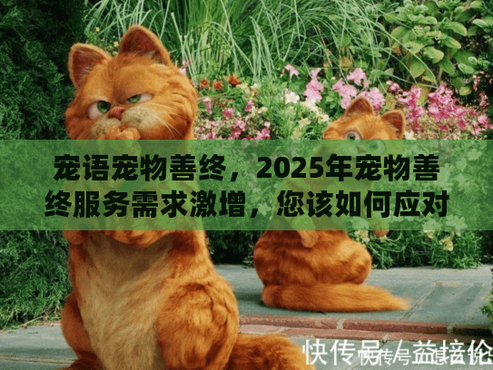 宠语宠物善终,2025年宠物善终服务需求激增,您该如何应对? 宠语宠物善终,2025年宠物善终服务需求激增,您该如何应对?