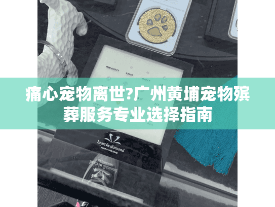 痛心宠物离世?广州黄埔宠物殡葬服务专业选择指南