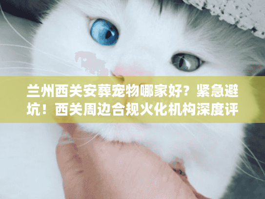 兰州西关安葬宠物哪家好？紧急避坑！西关周边合规火化机构深度评测