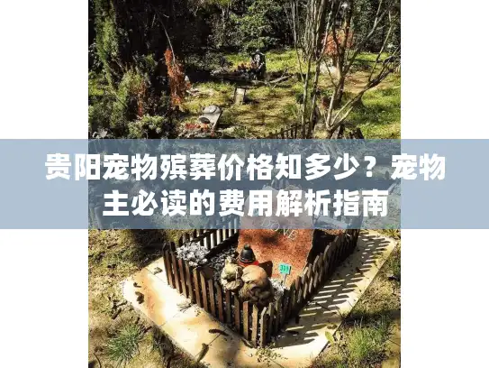 贵阳宠物殡葬价格知多少？宠物主必读的费用解析指南