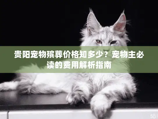 贵阳宠物殡葬价格知多少？宠物主必读的费用解析指南