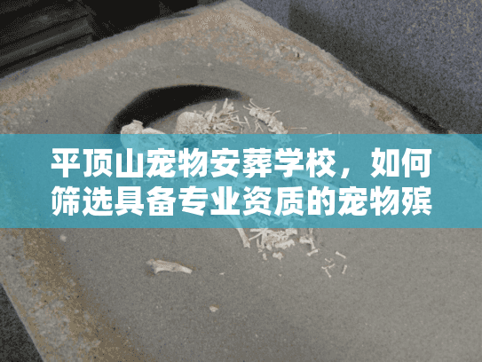 平顶山宠物安葬学校，如何筛选具备专业资质的宠物殡葬服务商？