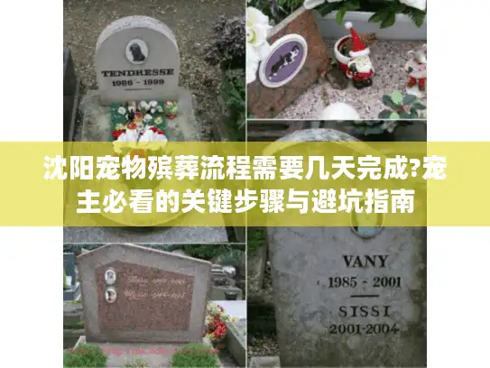 沈阳宠物殡葬流程需要几天完成?宠主必看的关键步骤与避坑指南