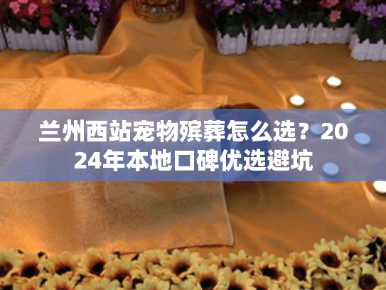 兰州西站宠物殡葬怎么选？2024年本地口碑优选避坑