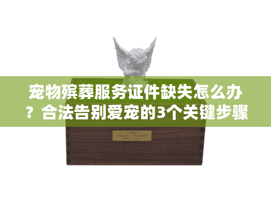 宠物殡葬服务证件缺失怎么办？合法告别爱宠的3个关键步骤
