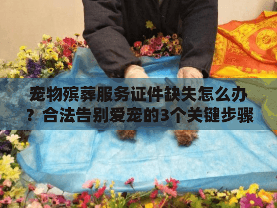 宠物殡葬服务证件缺失怎么办？合法告别爱宠的3个关键步骤