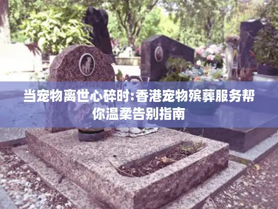 当宠物离世心碎时:香港宠物殡葬服务帮你温柔告别指南