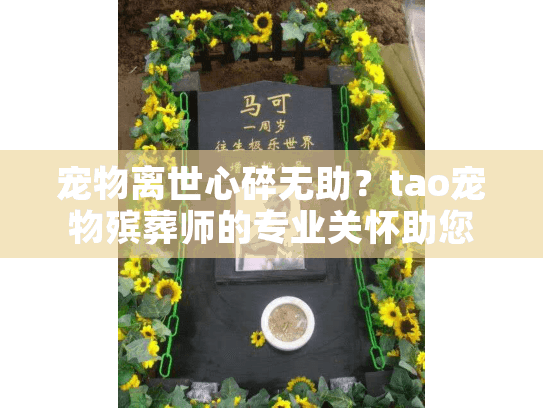宠物离世心碎无助？tao宠物殡葬师的专业关怀助您渡过难关