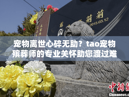 宠物离世心碎无助？tao宠物殡葬师的专业关怀助您渡过难关