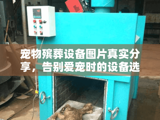 宠物殡葬设备图片真实分享，告别爱宠时的设备选择指南