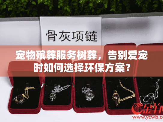 宠物殡葬服务树葬，告别爱宠时如何选择环保方案？