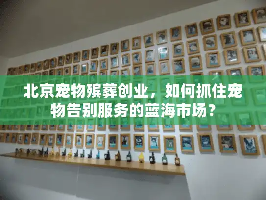 北京宠物殡葬创业，如何抓住宠物告别服务的蓝海市场？