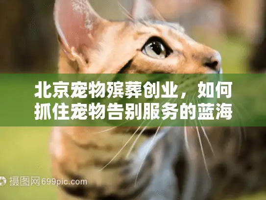 北京宠物殡葬创业，如何抓住宠物告别服务的蓝海市场？