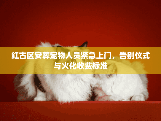 红古区安葬宠物人员紧急上门，告别仪式与火化收费标准