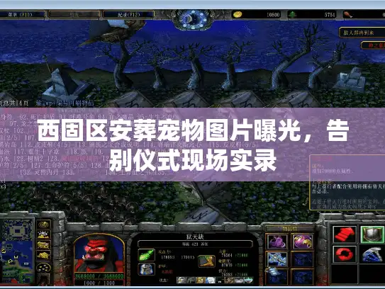 西固区安葬宠物图片曝光，告别仪式现场实录