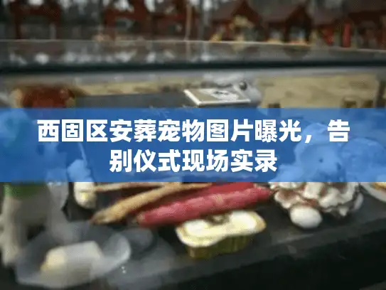 西固区安葬宠物图片曝光，告别仪式现场实录