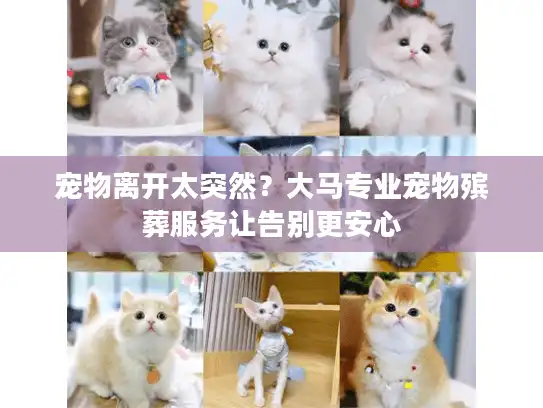 宠物离开太突然?大马专业宠物殡葬服务让告别更安心 宠物离开太突然?大马专业宠物殡葬服务让告别更安心