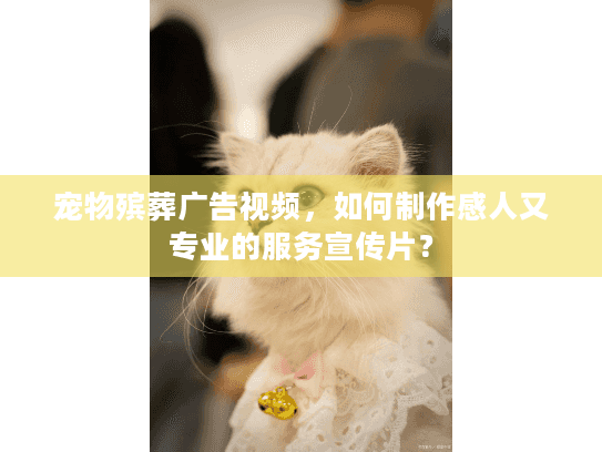 宠物殡葬广告视频，如何制作感人又专业的服务宣传片？
