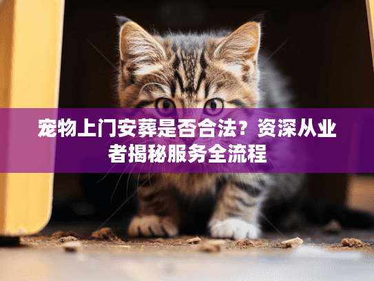 宠物上门安葬是否合法？资深从业者揭秘服务全流程