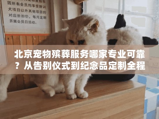 北京宠物殡葬服务哪家专业可靠？从告别仪式到纪念品定制全程指南