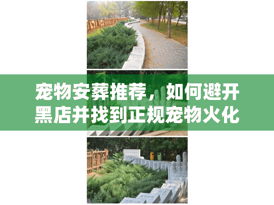 宠物安葬推荐，如何避开黑店并找到正规宠物火化机构？